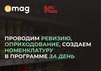 Услуги ревизора