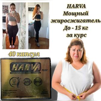 Капсулы для похудения harva оригинал