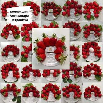 Саженцы клубники