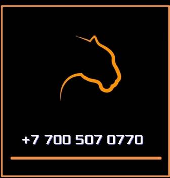 Продам номер Алтел!!!