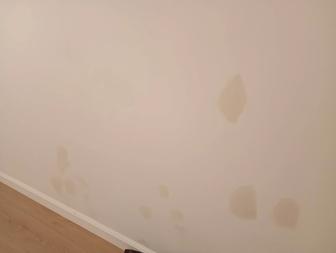 Отшлифовать и покрасить стену