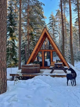 A-Frame / Barn House Заманауи эко үй