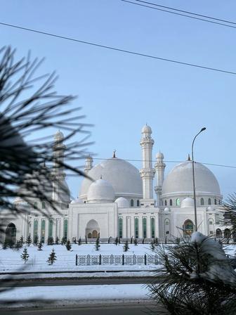 Евроремонт бос балдар бар