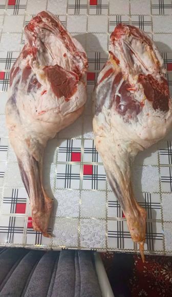 Доставкой Баранина Ляжка Задок высшего качества