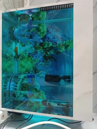 Продаю аквариум