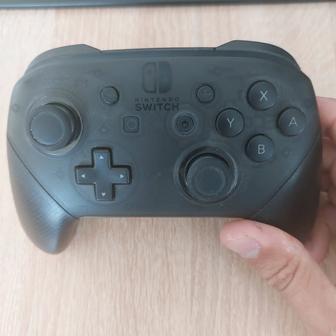 Nintendo pro controller