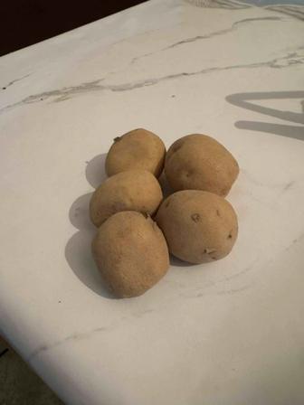 Овощей и фруктый . Картошка