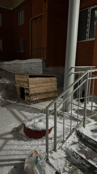 Будка для собаки