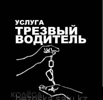 Трезвый водитель