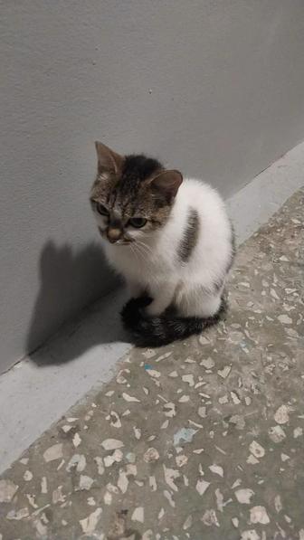 Мальчик 4 месяца