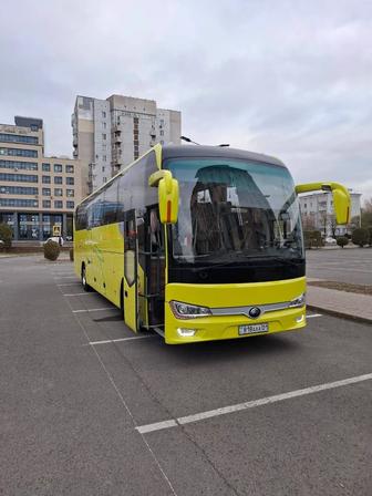 Новые автобусы. Аренда автобусов с водителем.