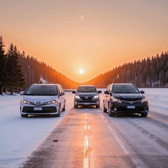 Пассажирские перевозки