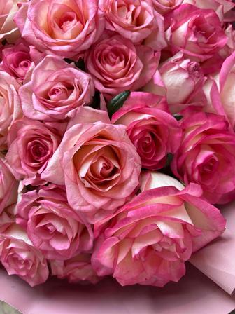 Продам моно-букет, 51 роза 60 см