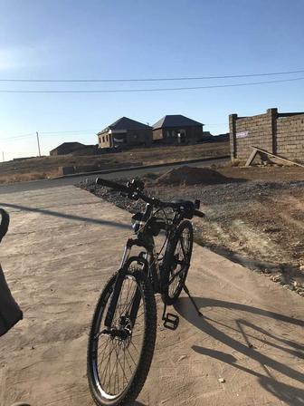 Велик новый спортивный