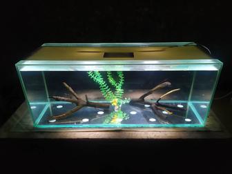 Аквариум 110л. Бонусы и рыбки.