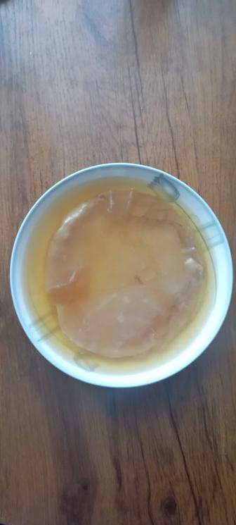 Продам детку чайного гриба (комбуча)