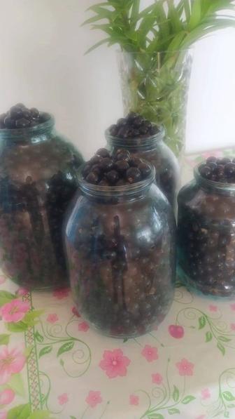Продам черную смородину