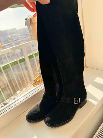 Продам сапоги Basconi