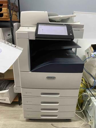 Продам МФУ Xerox Altalink C8030. Хороший торг