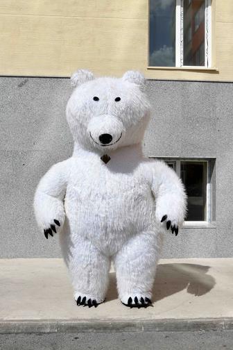 ГОТОВЫЙ БИЗНЕС ростовые мишки