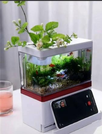 Умный аквариум полный набор