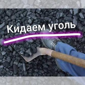 Физическая помощь и грузовые работы в Петропавловске