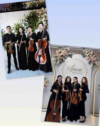 Встреча гостей, Струнный квартет