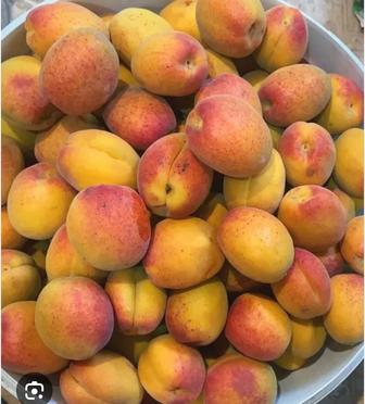 Продам абрикосы вкусные на варенье