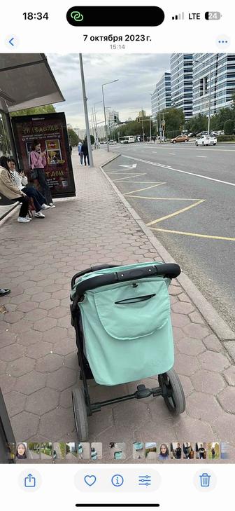 Коляска детская indigo