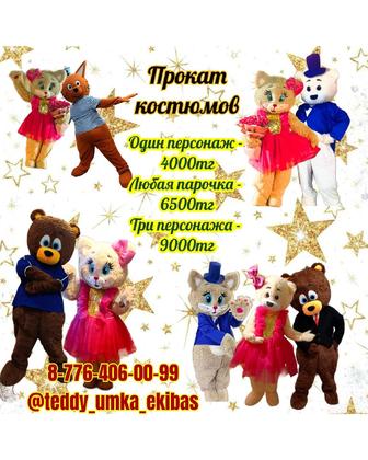 Мишка Тедди. Кот. прокат и услуги аниматора