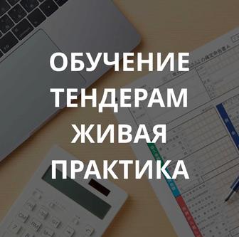 Курсы по тендерам
