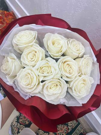 Цветы Гүлдер