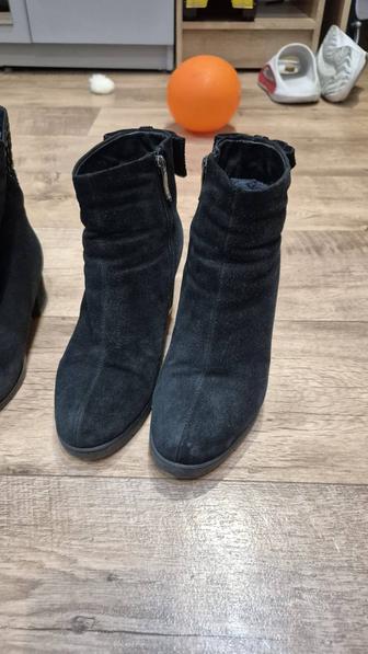 Сапоги женские