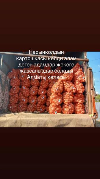 Отборная картошка нарынкольский
