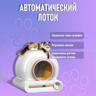 Умный лоток для кошек