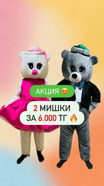 Мишки тедди костюмы в аренду, на прокат. Мишка тедди