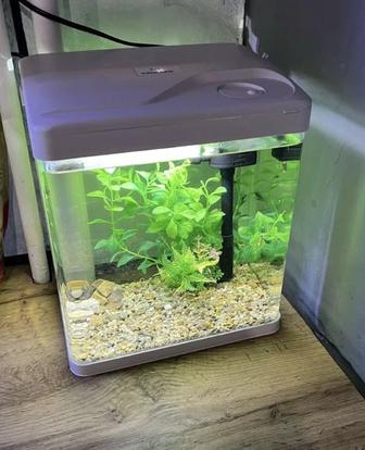 Продам аквариум