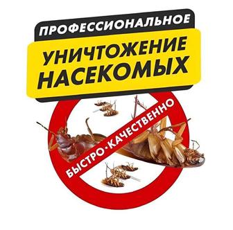 Дезинфекция дезинсекция обработка уничтожение тараканы постельные клопы