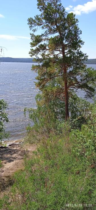 Мастер на час!