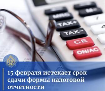 Все виды налоговой отчетности СНР и ОУР