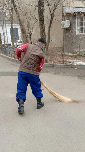 Дворник