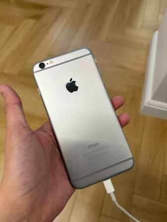 iPhone 6 Plus