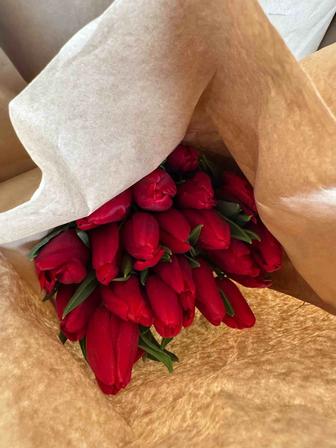 Продам тюльпан