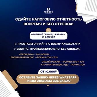 Сдача всех налоговых отчетностей 200,220,100,910,300 итд.