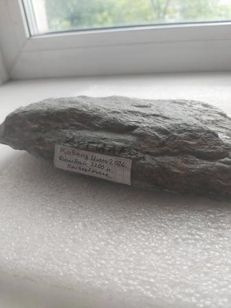 Продам коллекцию камней (аргиллит, кварцит, галит, галька)