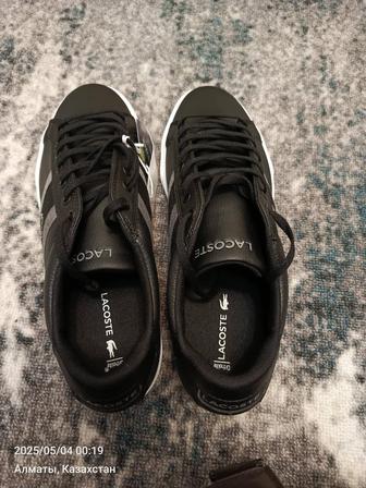 Кеды Lacoste, оригинал