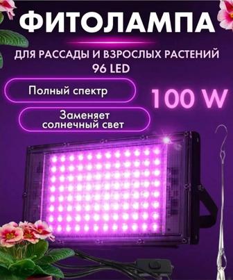 Фитолампы