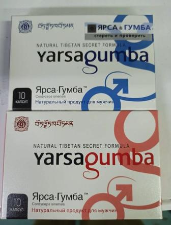 Ярсагумба yarsagumba