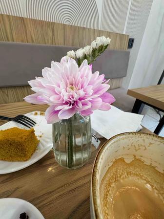 Кунсультация психолога