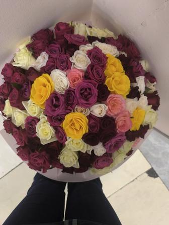 Розы 101 шт
